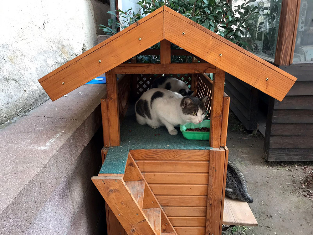 20171212_2_27459185_28759836