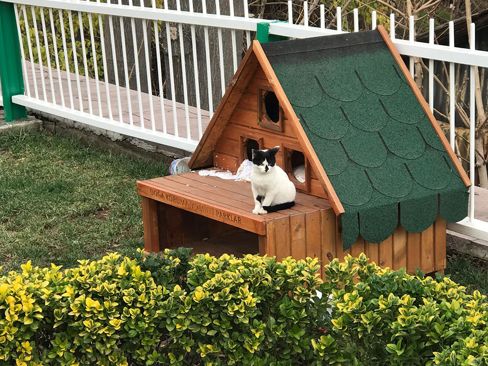 ANADOLIJA/Ministarstvo za šumarstvo i vodoprivredu Republike Turske