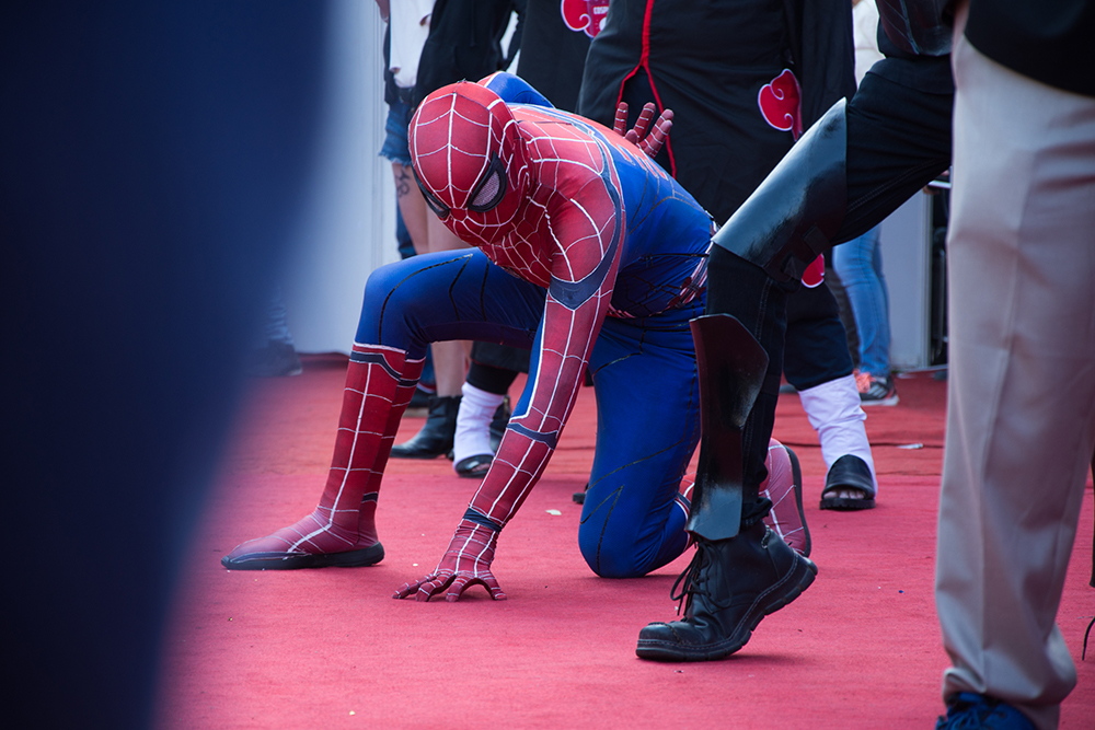 ANADOLIJA/Javed Sultan