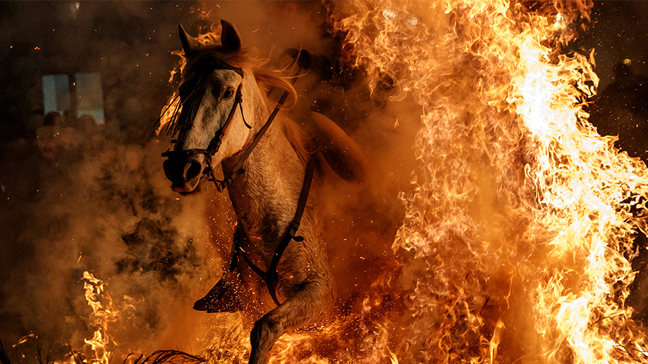 2018-01-17T051708Z_567397889_RC1B6D4757D0_RTRMADP_3_SPAIN-FESTIVAL(1)