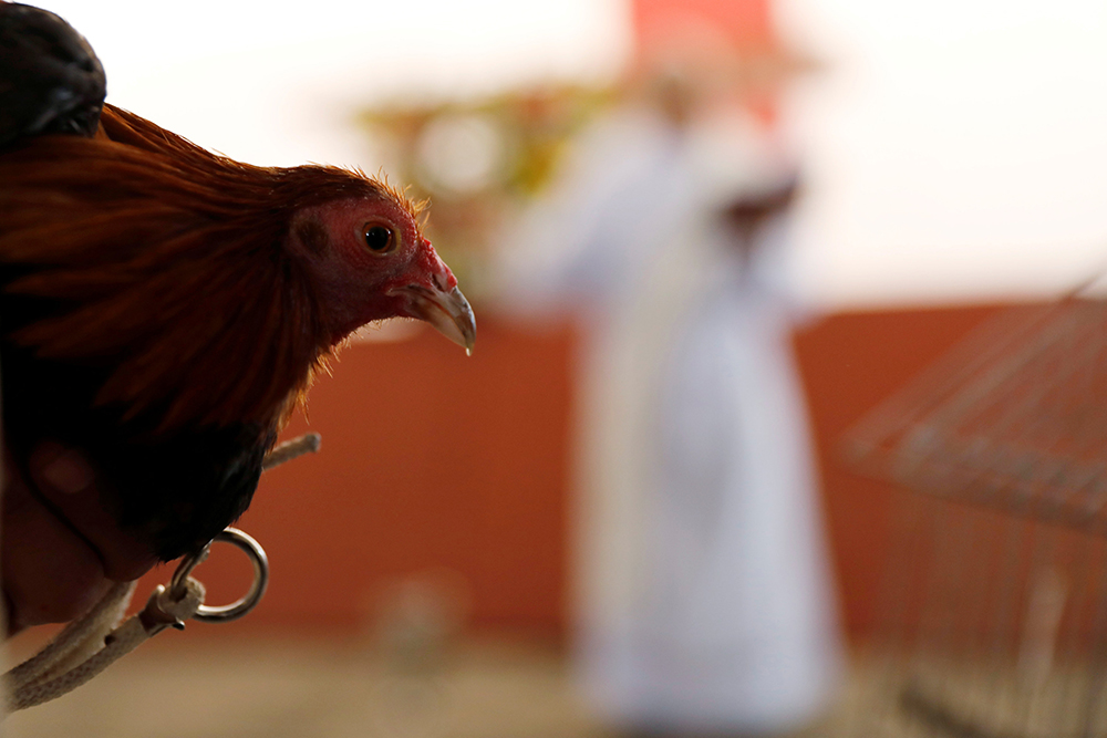 REUTERS/Carlos Jasso