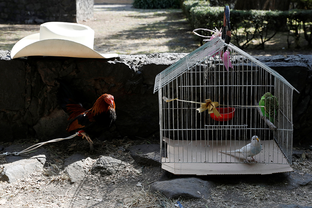 REUTERS/Carlos Jasso