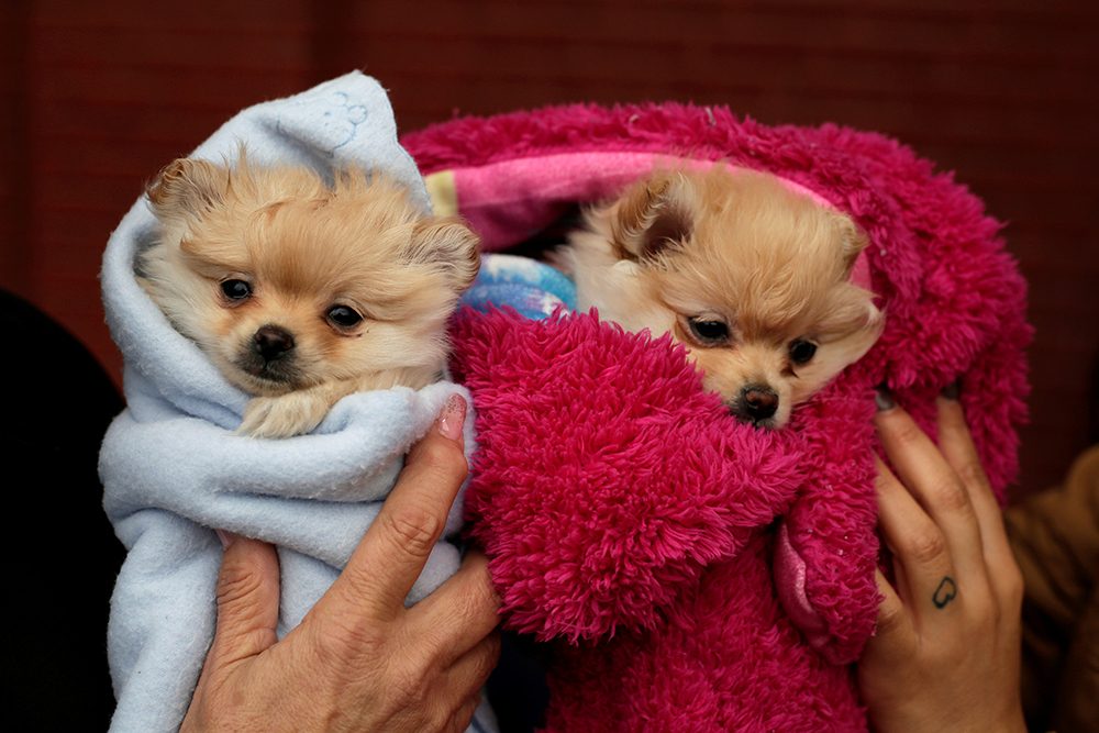 REUTERS/Jose Luis Gonzalez