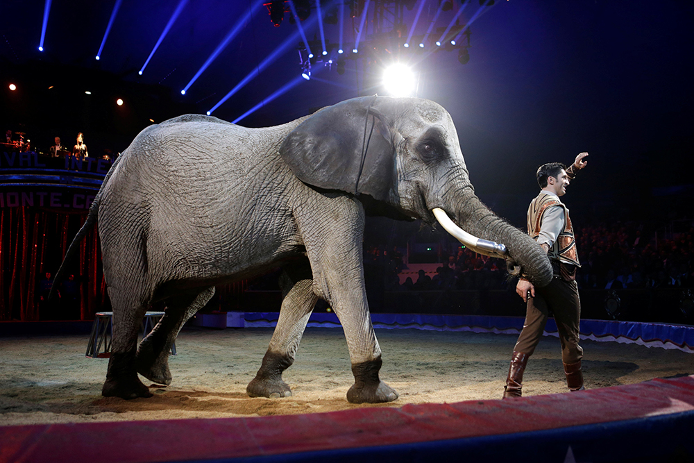 REUTERS/Claude Paris/Pool