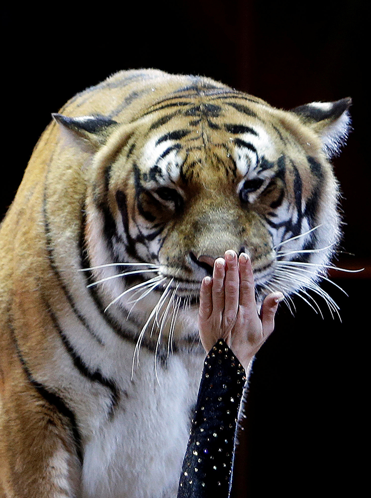 REUTERS/Claude Paris/Pool
