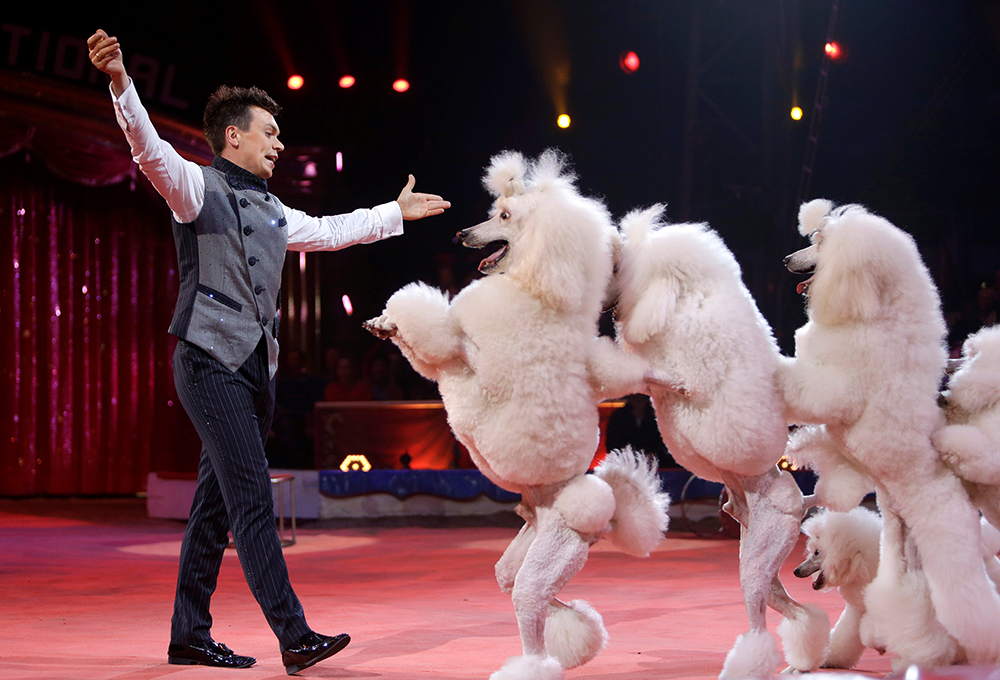 REUTERS/Claude Paris/Pool