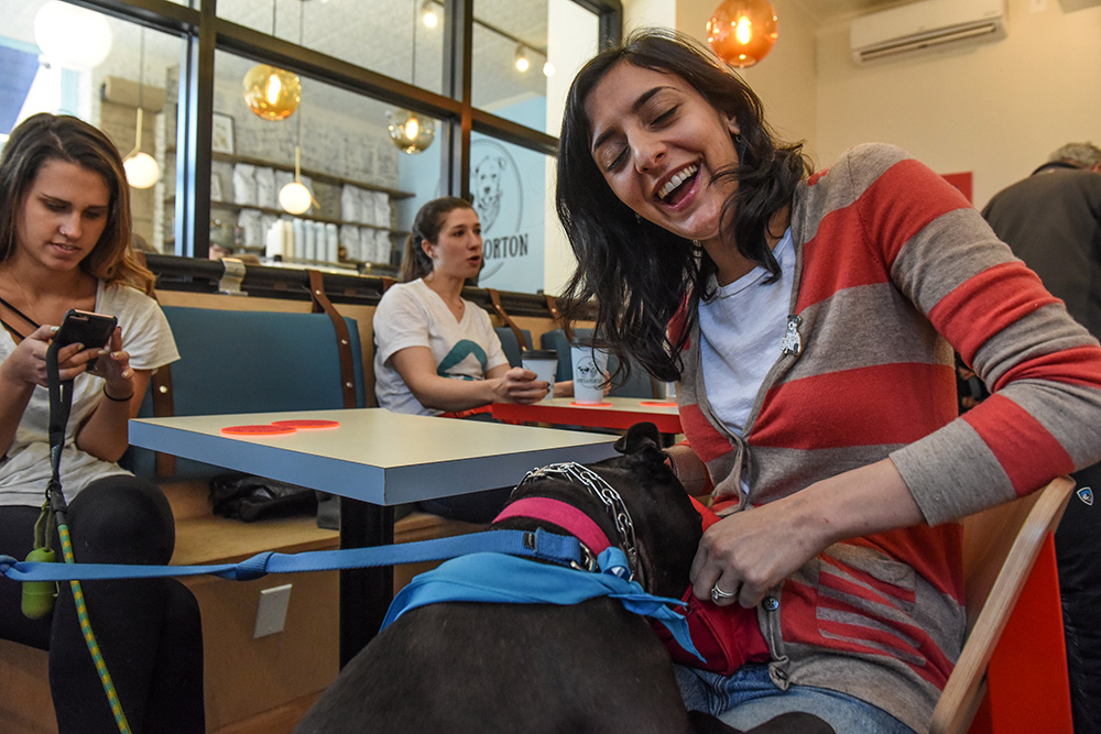 2018-02-05T140354Z_48500166_RC19CBB95890_RTRMADP_3_NEWYORK-DOG-CAFE