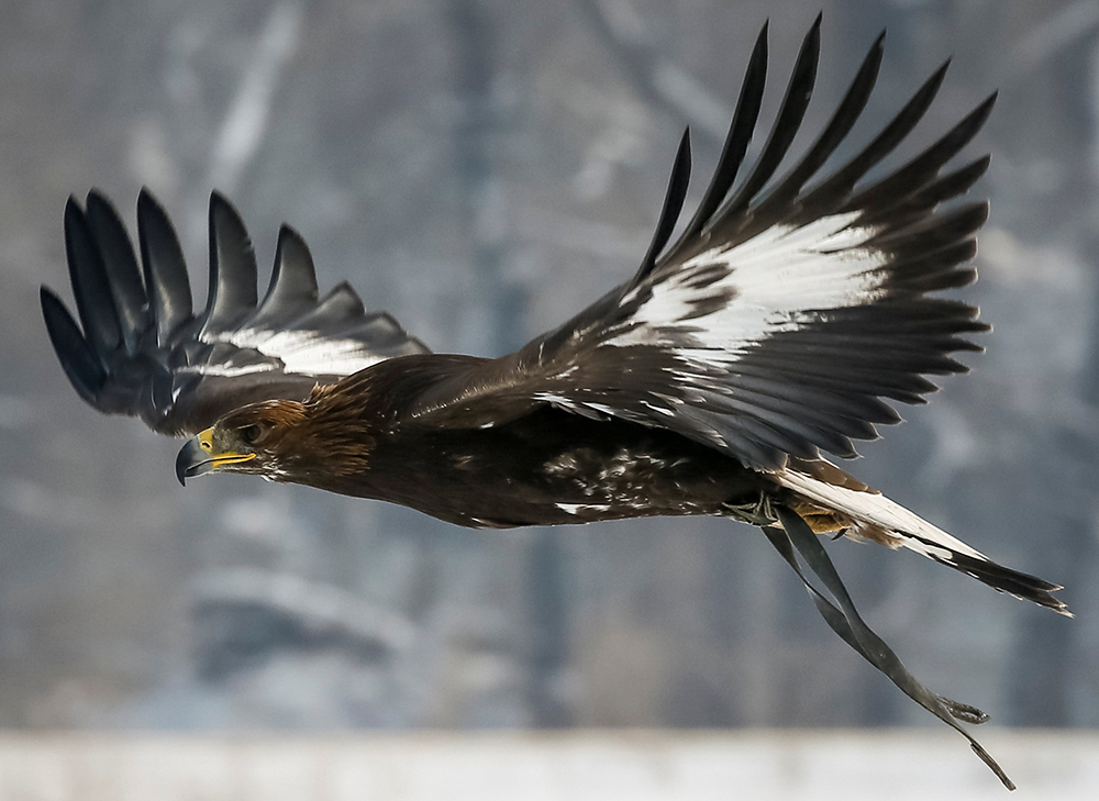 REUTERS/Shamil Zhumatov