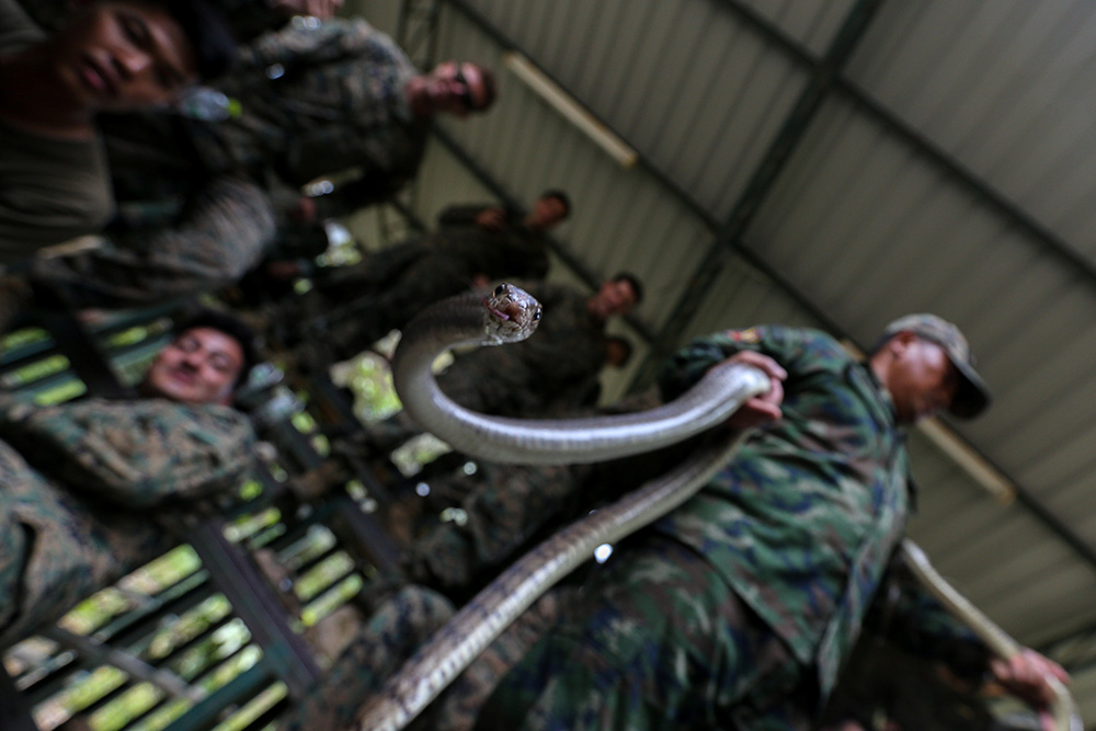 REUTERS/Athit Perawongmetha