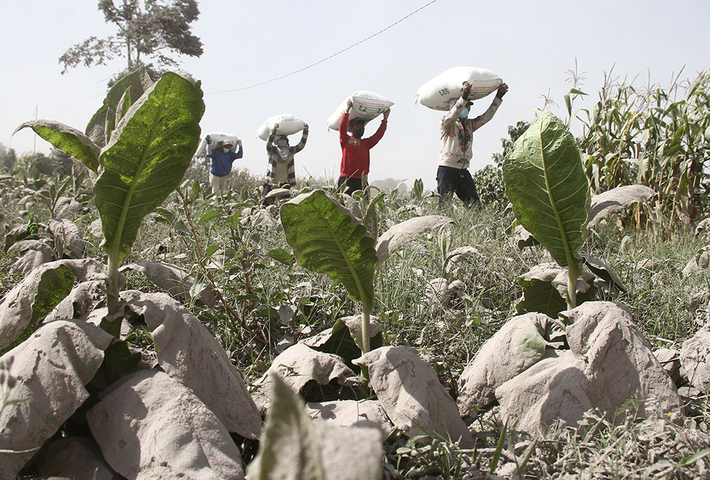 REUTERS/Antara Foto/Ahmad Putra