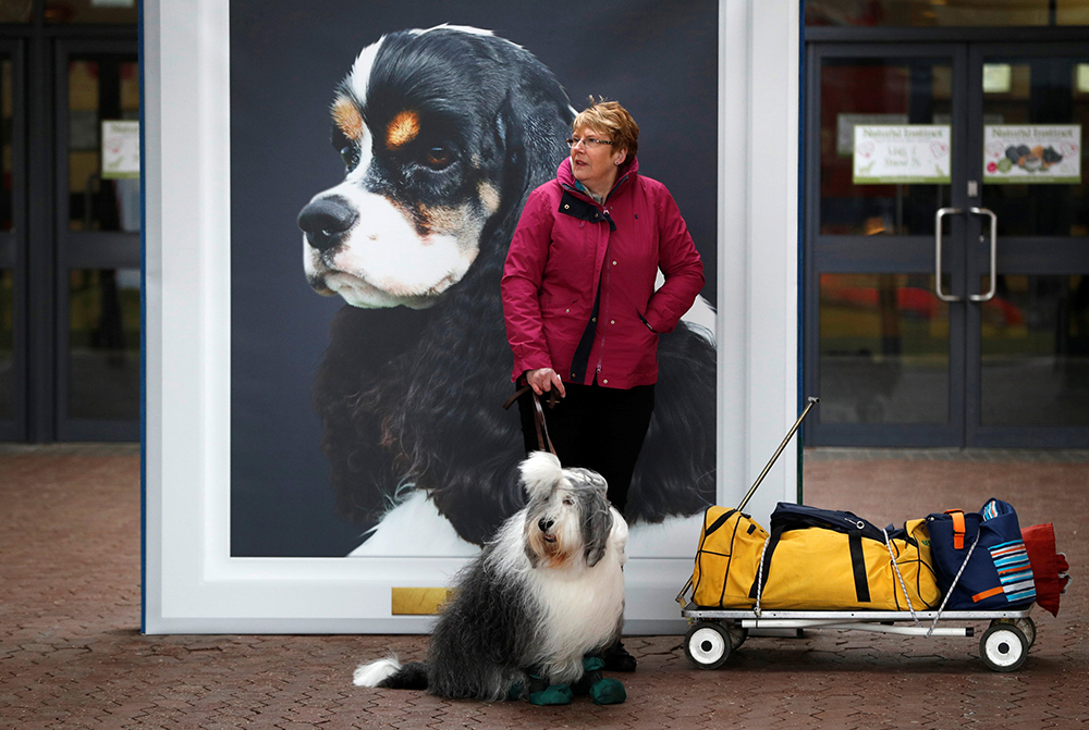 REUTERS/Darren Staples