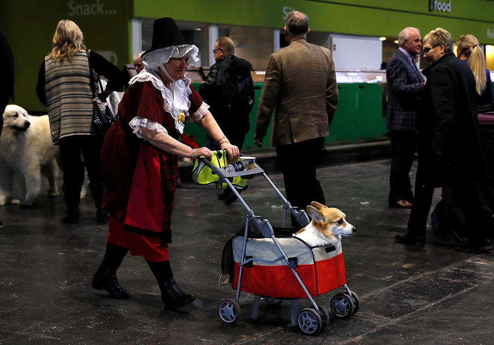 2018-03-08T143758Z_2015515855_RC17DEC31F50_RTRMADP_3_BRITAIN-CRUFTS