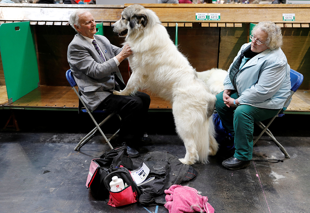 REUTERS/Darren Staples