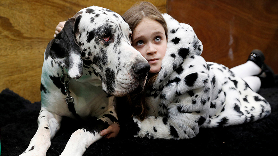 2018-03-08T160145Z_1533912281_RC1758304000_RTRMADP_3_BRITAIN-CRUFTS 11