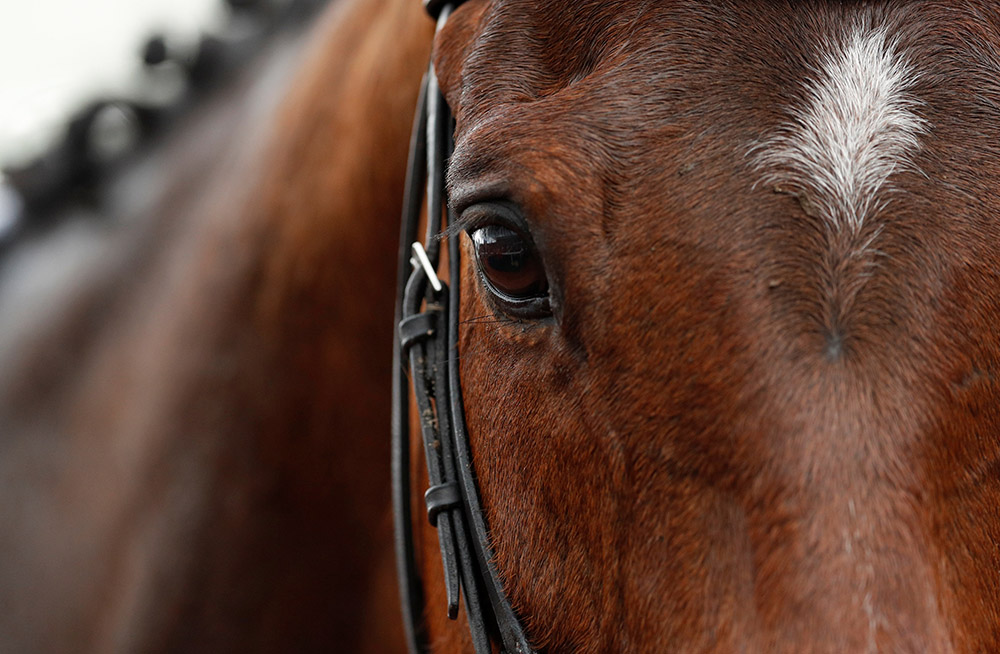 Reuters/Andrew Boyers