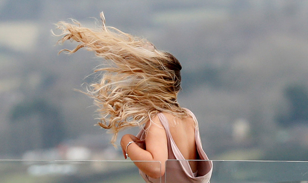 Reuters/Andrew Boyers