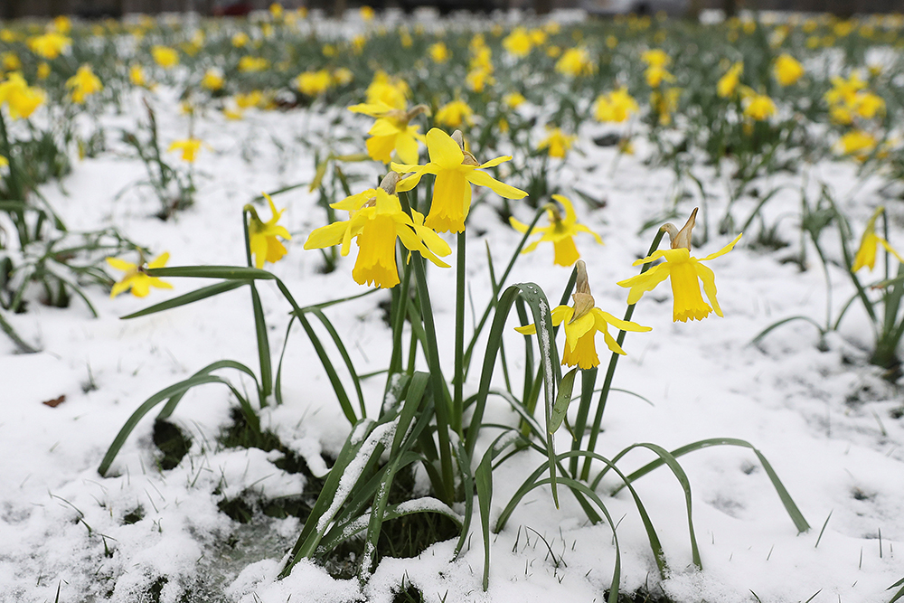 2018-03-18T120904Z_1088360338_RC144CEFFB20_RTRMADP_3_EUROPE-WEATHER-BRITAIN