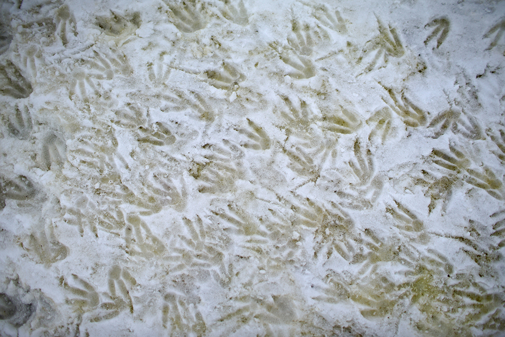 REUTERS/Alexandre Meneghini