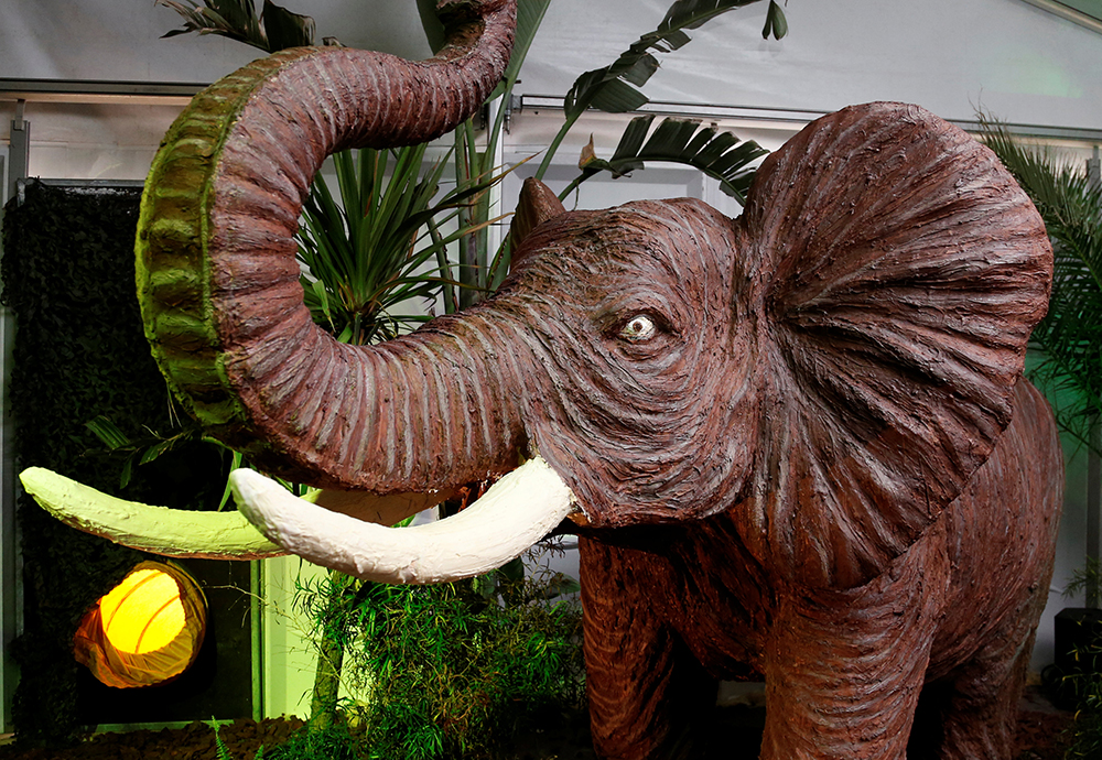 Reuters/Francois Lenoir