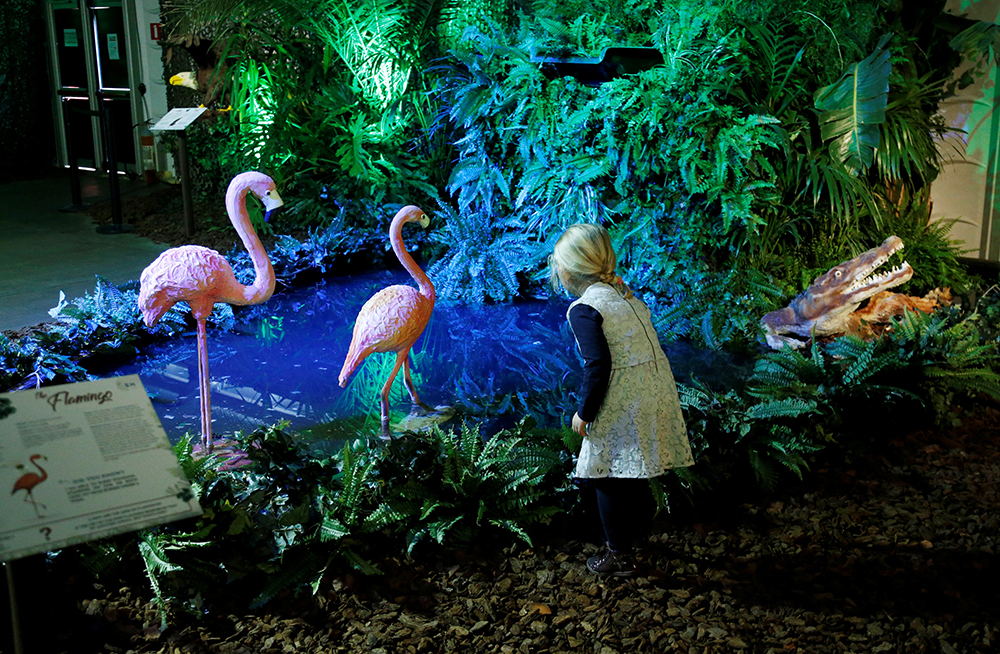 Reuters/Francois Lenoir