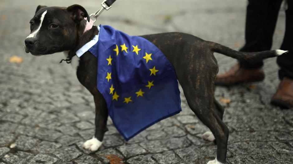 2018-10-07T122154Z_822125871_RC1D05468110_RTRMADP_3_BRITAIN-EU-DOGS