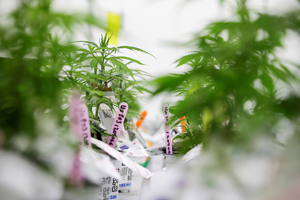 REUTERS/Carlos Osorio