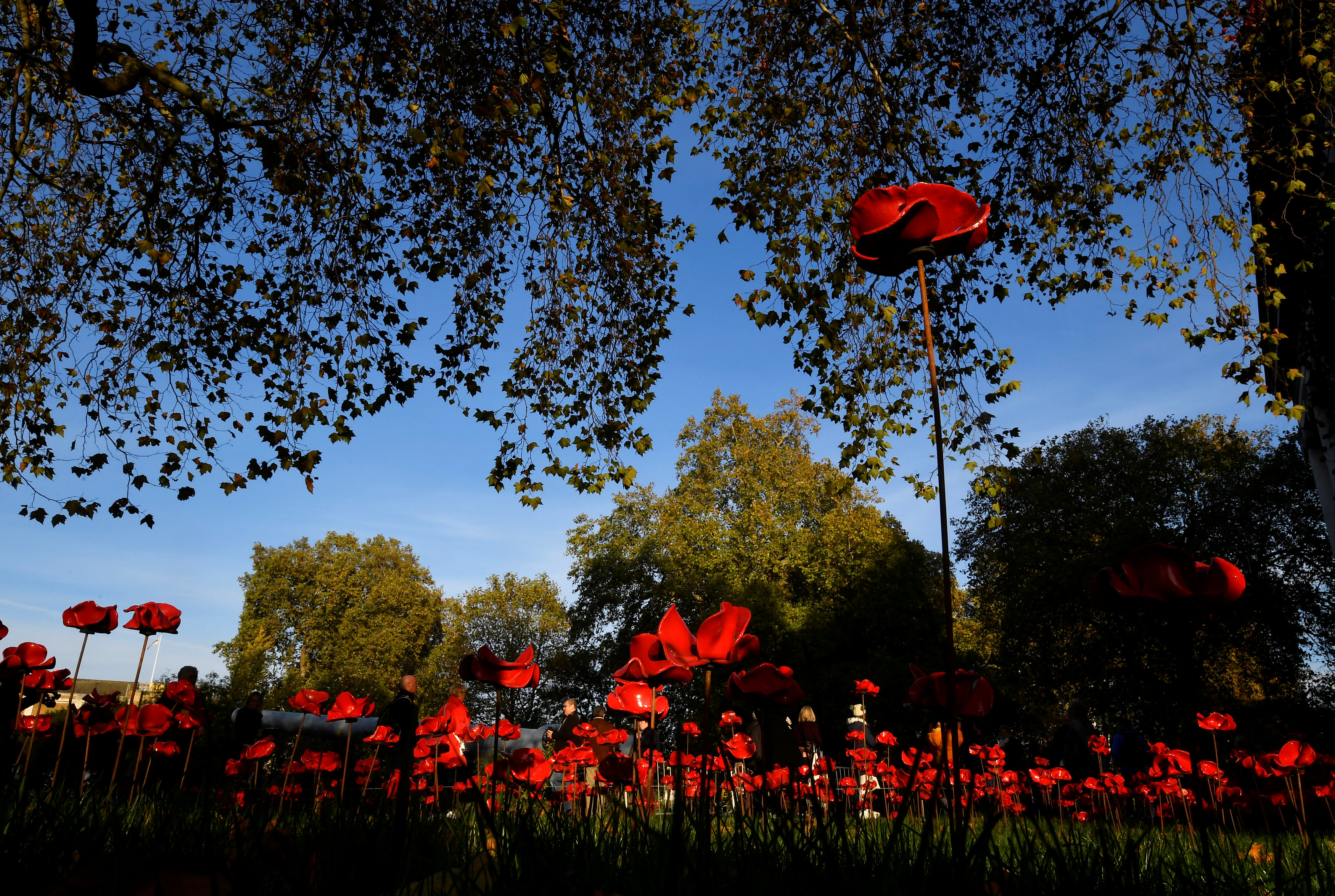 2018-10-31T152908Z_383939596_RC1CE6A55920_RTRMADP_3_BRITAIN-ROYALS