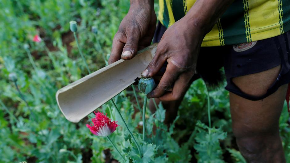 2018-11-07T092808Z_1545119845_RC1F4206A8D0_RTRMADP_3_MYANMAR-DRUGS