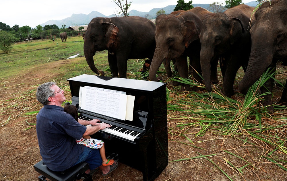 2018-12-09T085145Z_1334593137_RC11ADC50150_RTRMADP_3_THAILAND-ELEPHANT-MUSIC