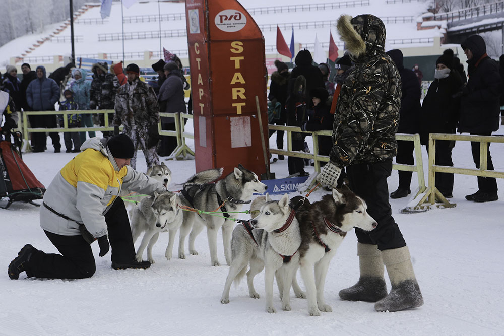 ANADOLIJA/Rostislav Netisov
