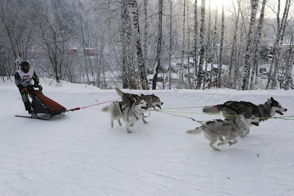 ANADOLIJA/Rostislav Netisov