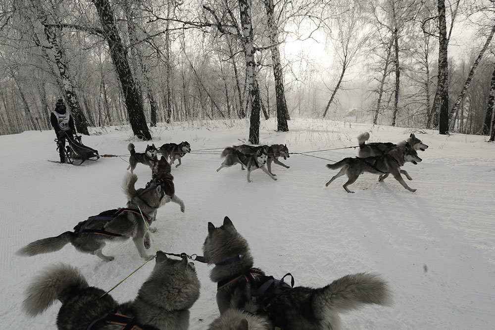 ANADOLIJA/Rostislav Netisov