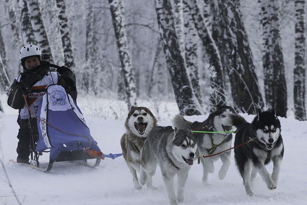 ANADOLIJA/Rostislav Netisov