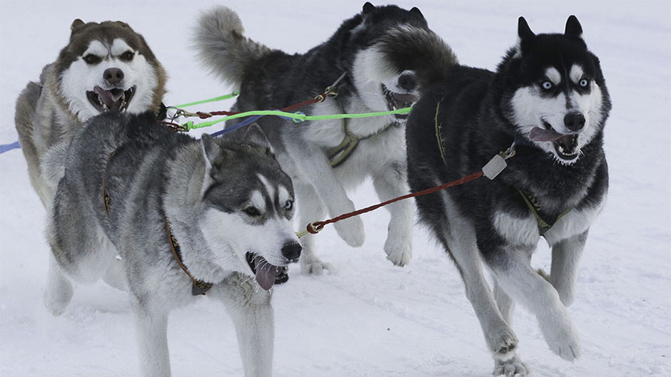 20180106_2_27944800_29526818 11