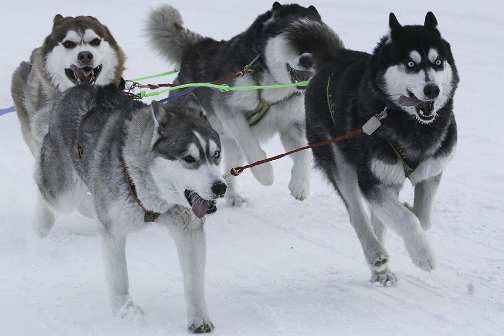 20180106_2_27944800_29526818