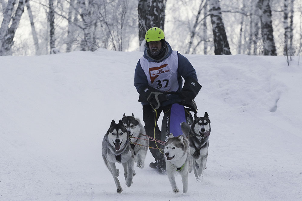 ANADOLIJA/Rostislav Netisov