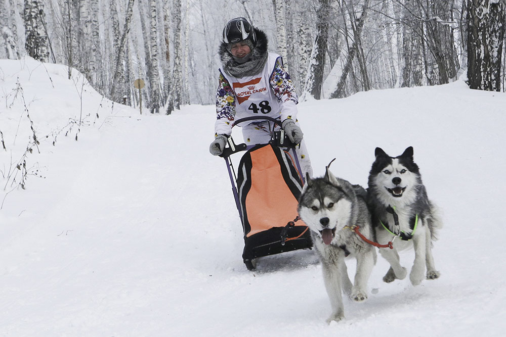 ANADOLIJA/Rostislav Netisov