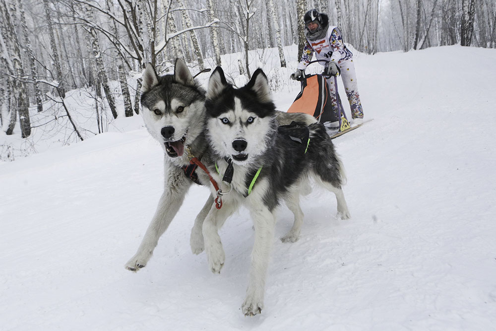 ANADOLIJA/Rostislav Netisov