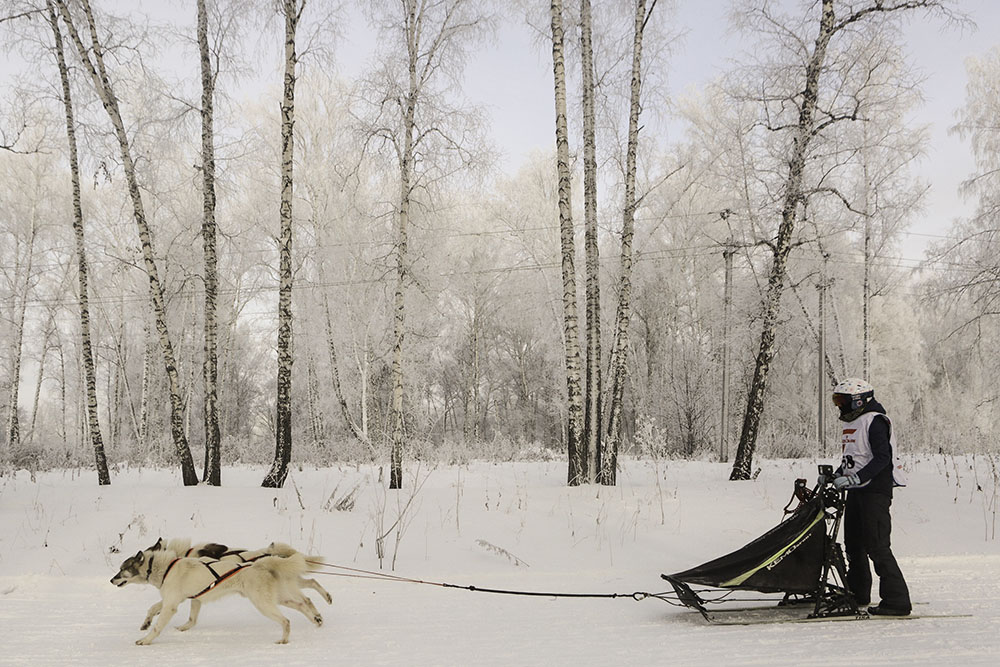 ANADOLIJA/Rostislav Netisov