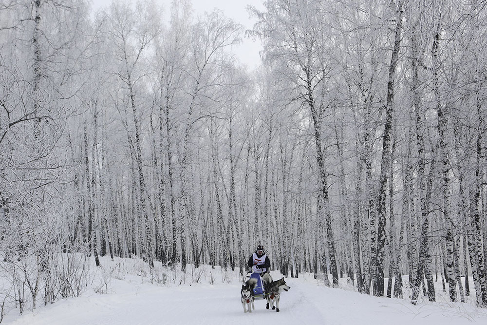 ANADOLIJA/Rostislav Netisov