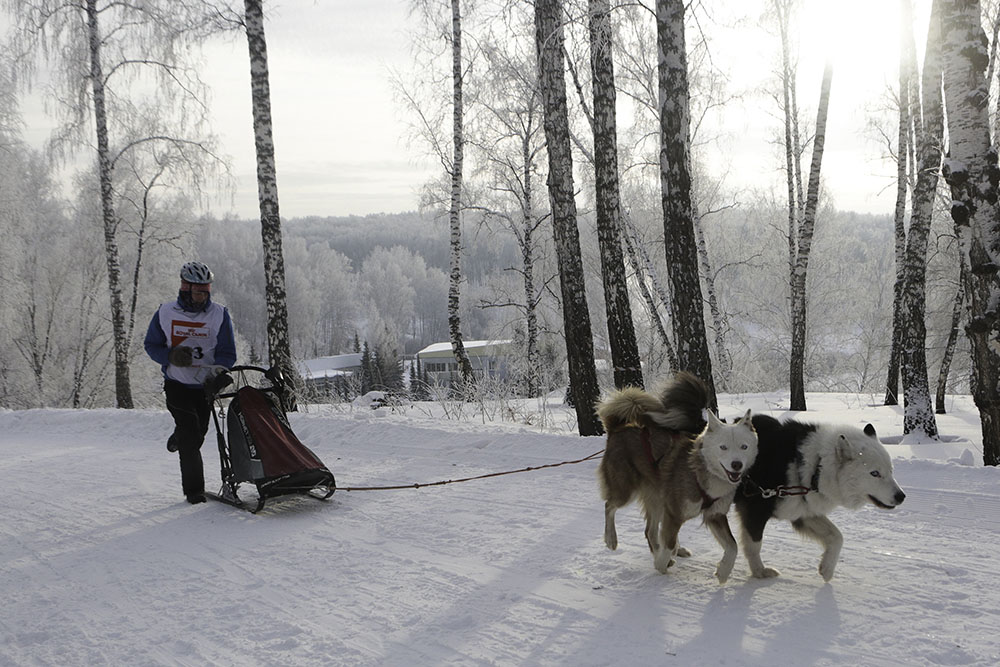 20180106_2_27944800_29526834