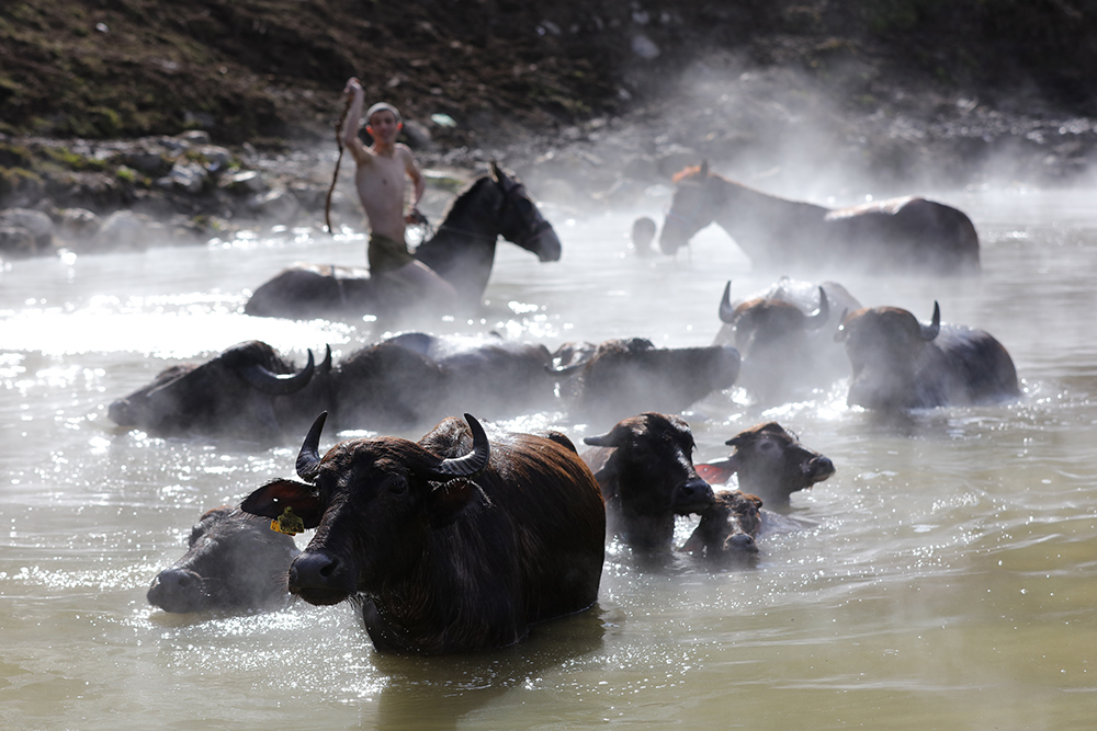ANADOLIJA/Ali İhsan Öztürk