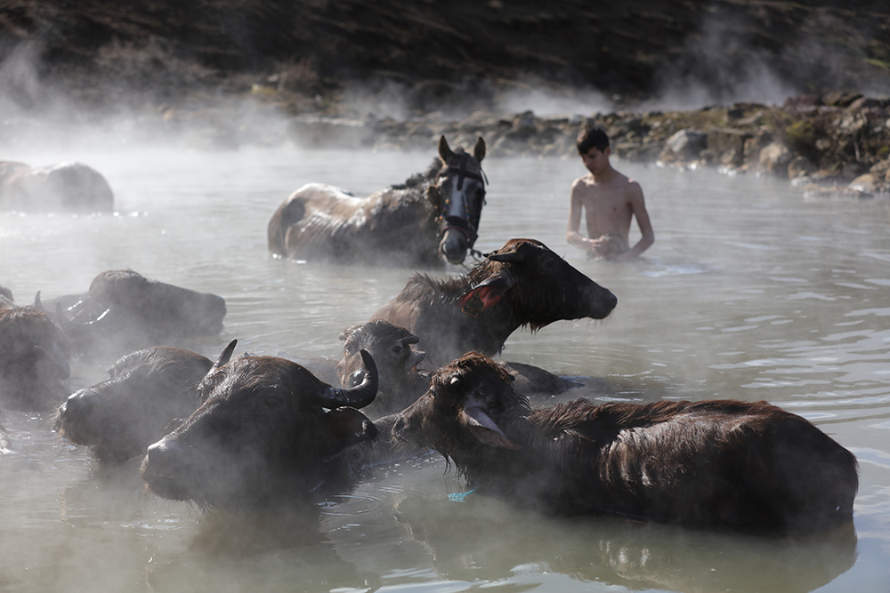 20180129_2_28391984_30259669