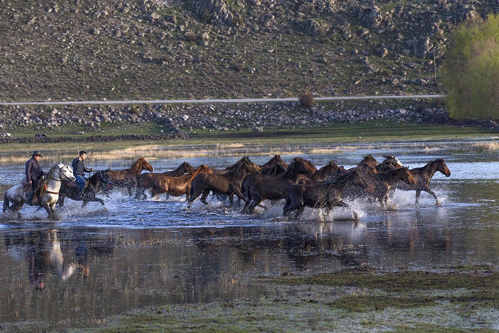 ANADOLIJA/Sercan Küçükşahin