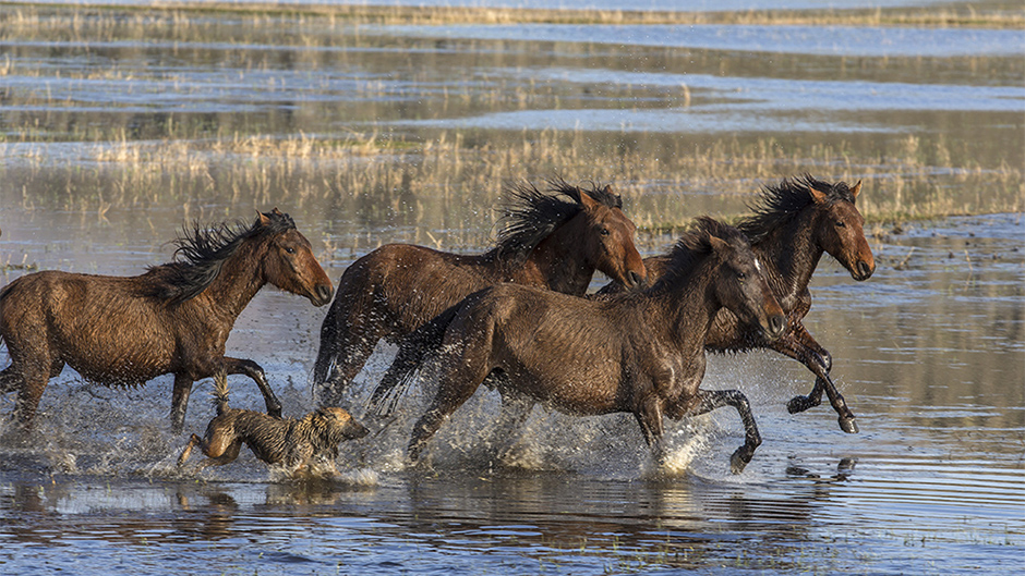 20180327_2_29474252_32102211 12