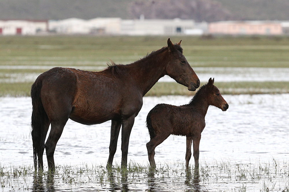 ANADOLIJA/Sercan Küçükşahin