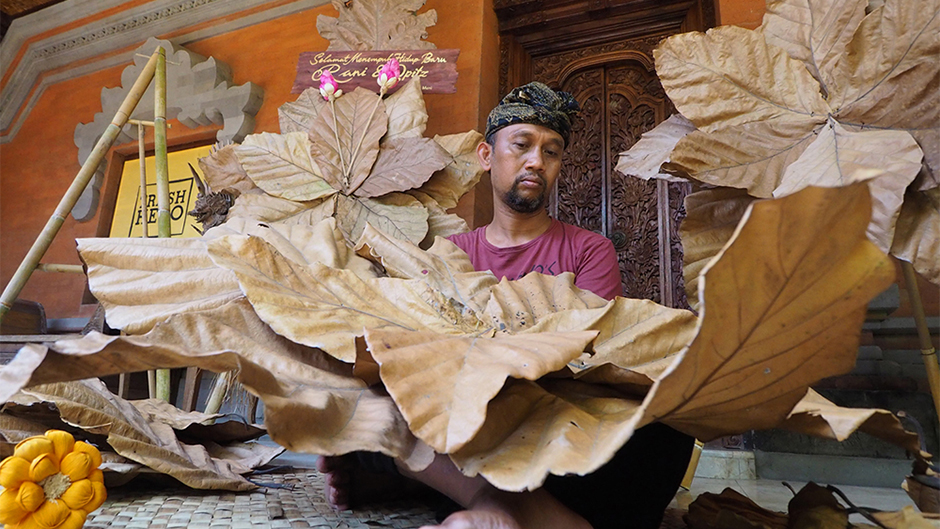 20180409_2_29728278_32556334 1