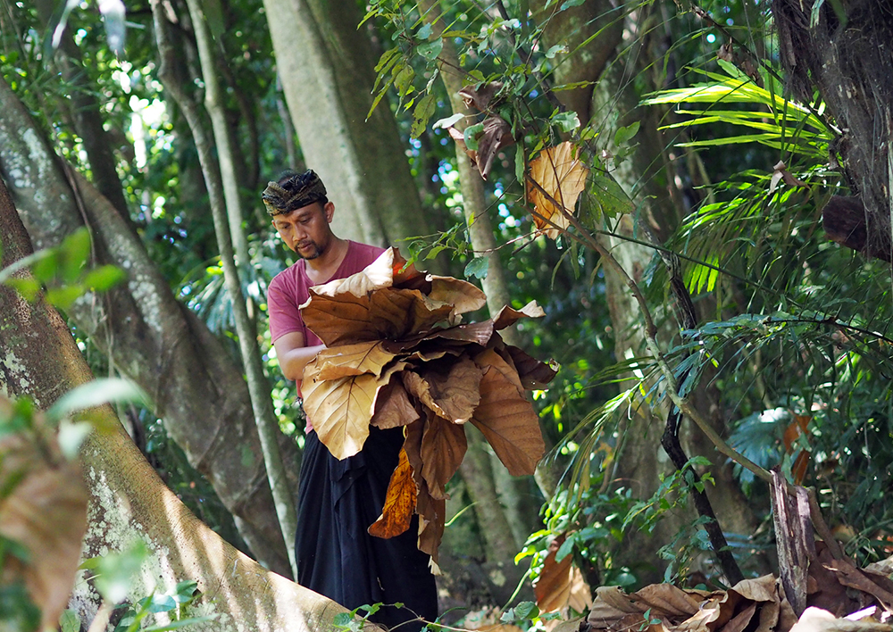 ANADOLIJA/Mahendra Moonstar