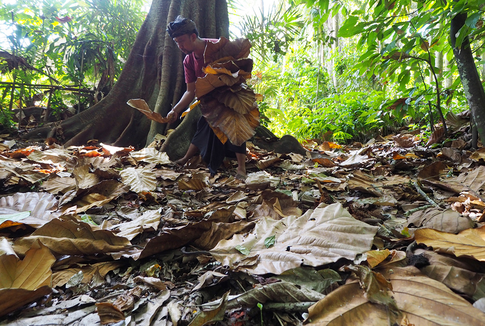 20180409_2_29728278_32556340