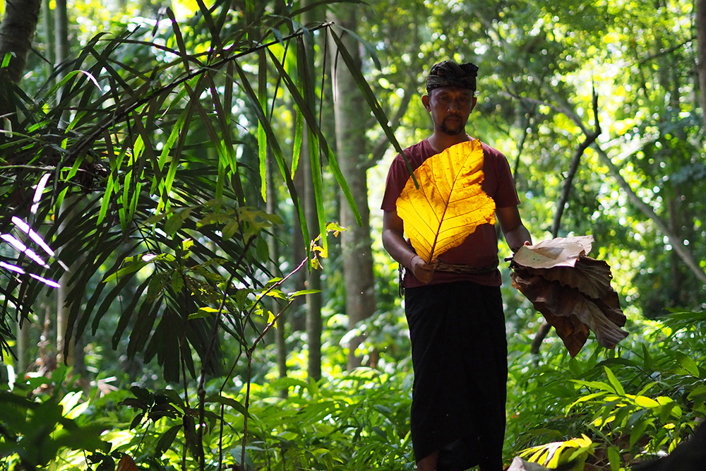 ANADOLIJA/Mahendra Moonstar